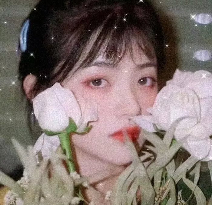动漫精选
